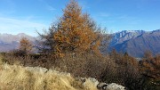 18 COLORI AUTUNNALI